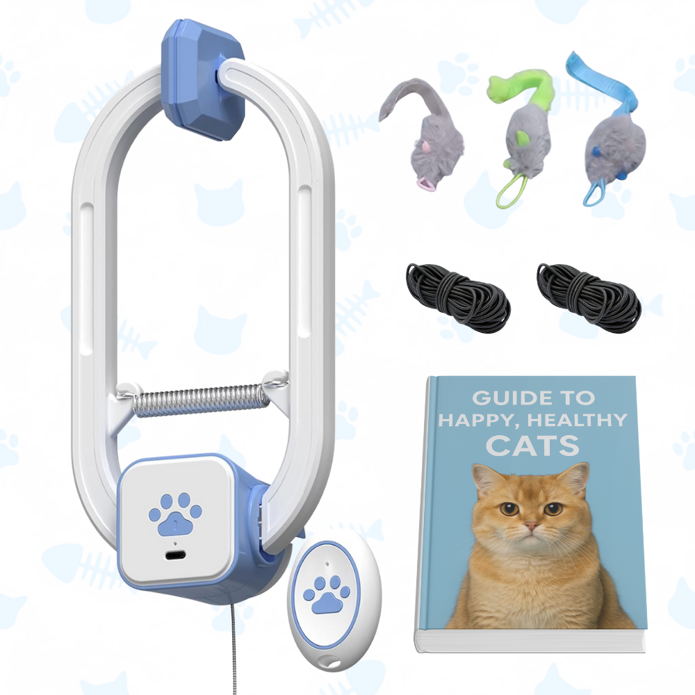 PawPounce™ Kitty Chaser