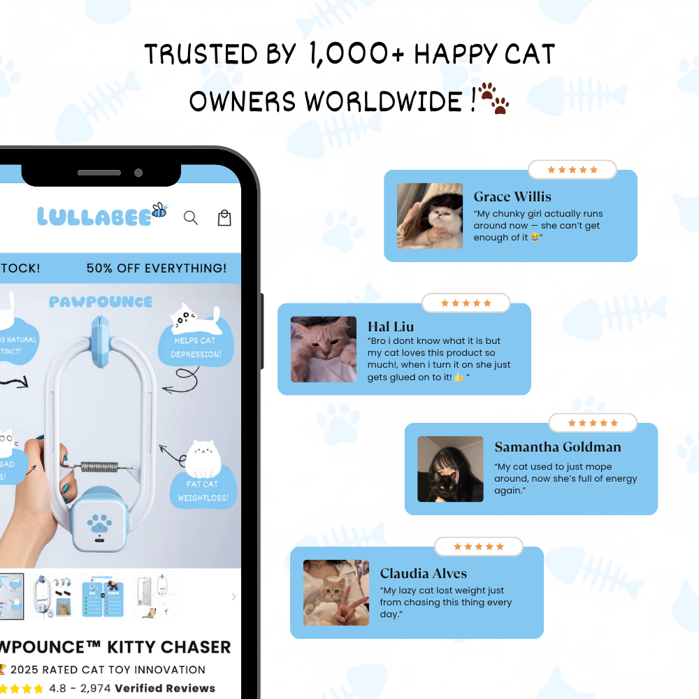 PawPounce™ Kitty Chaser